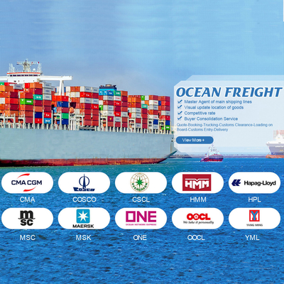OOG BBK 40ft Container International Ocean Shipping China ke Yordania Untuk General Cargo
